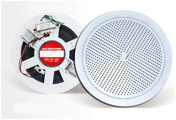 ECX-105 5" 6W Ceiling speaker