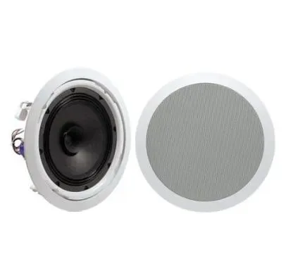 ECX-510 Dual Cone 6" 10W Ceiling Speaker 2