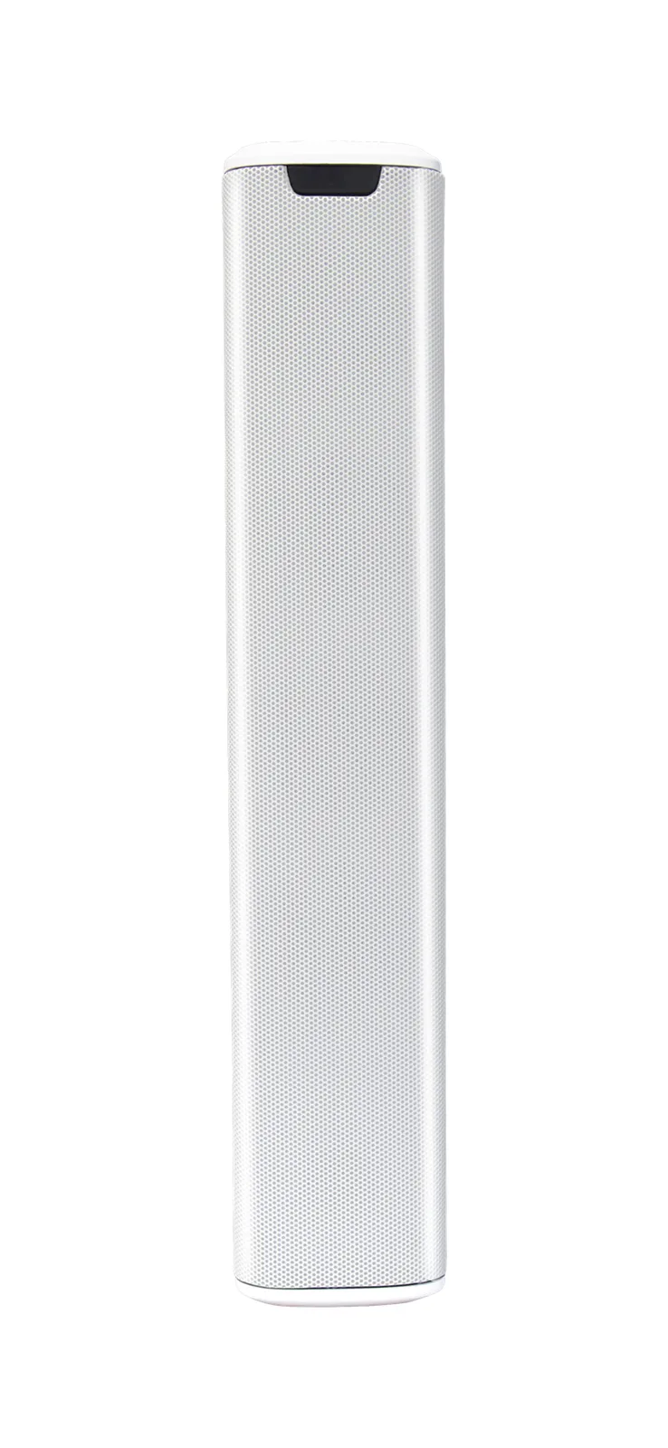 Professional line array column speaker EC-L8 8