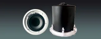 10″ Ceiling Subwoofer
