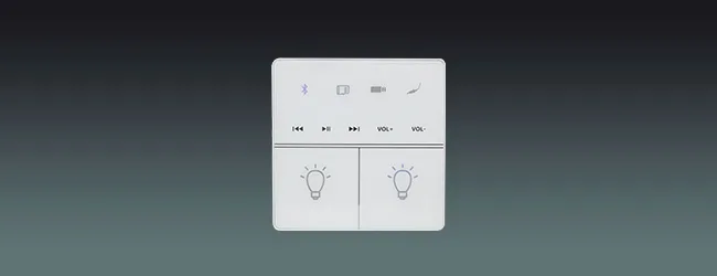 2-CH Bluetooth Wall Amplifier with Lighting Controls
