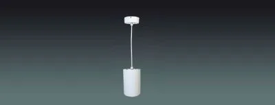 20W Aluminum Hang Speaker