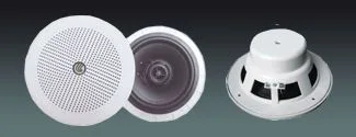5″ Marine Ceiling Speaker