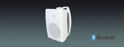 6.5 Inch Wireless TWS Paired Speaker