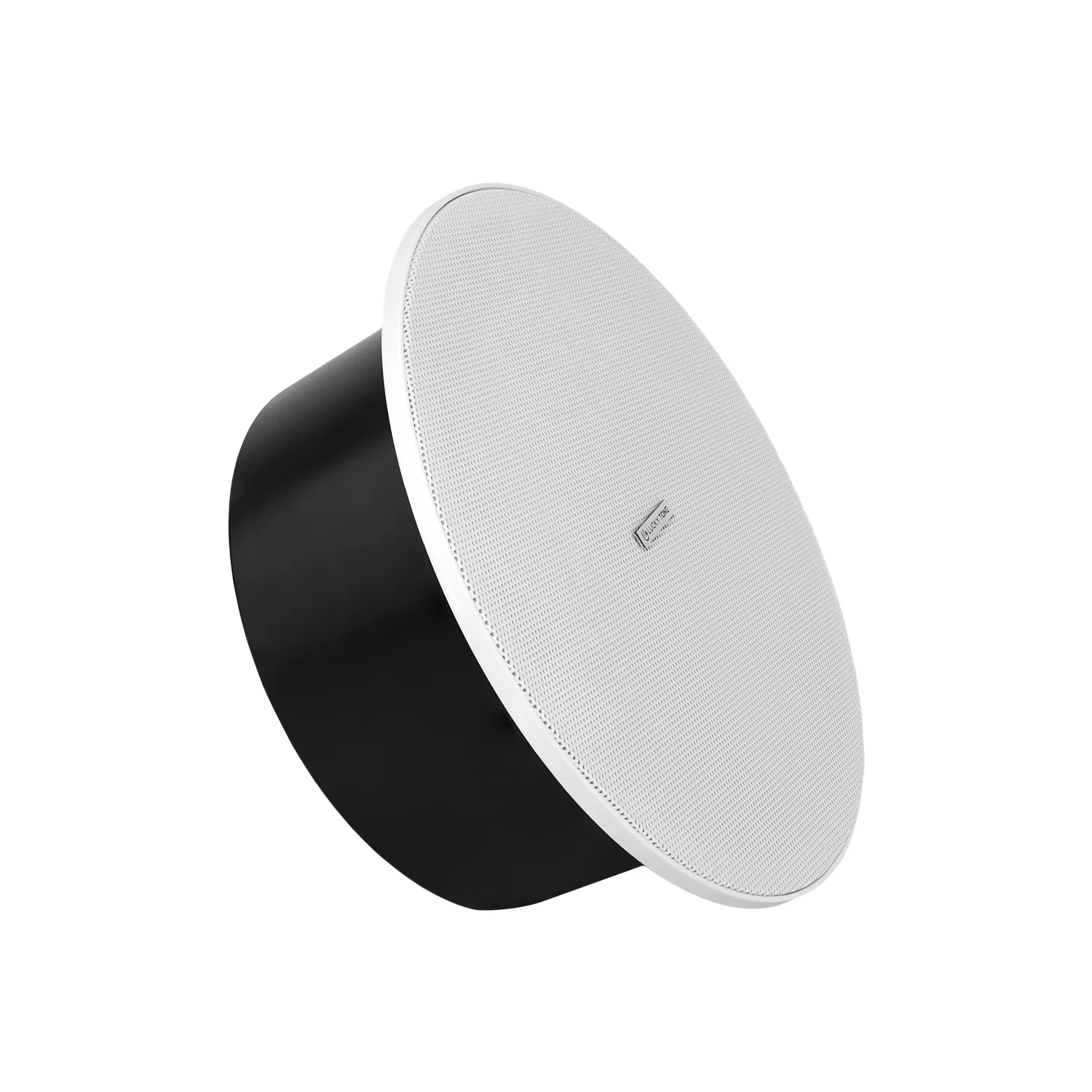 6″ Twin Cone Marine Ceiling Speaker 3