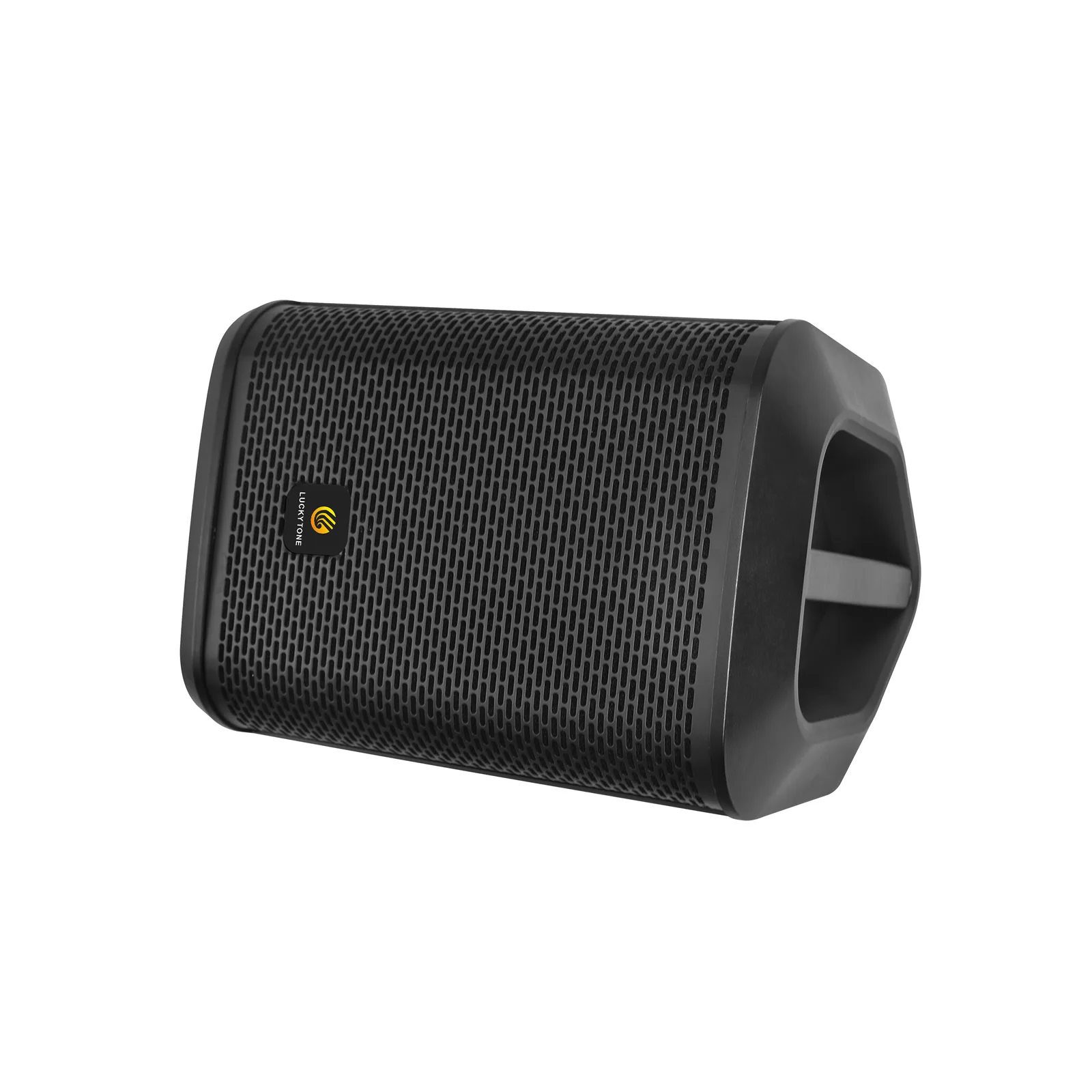 8-Inch Portable Speaker 5
