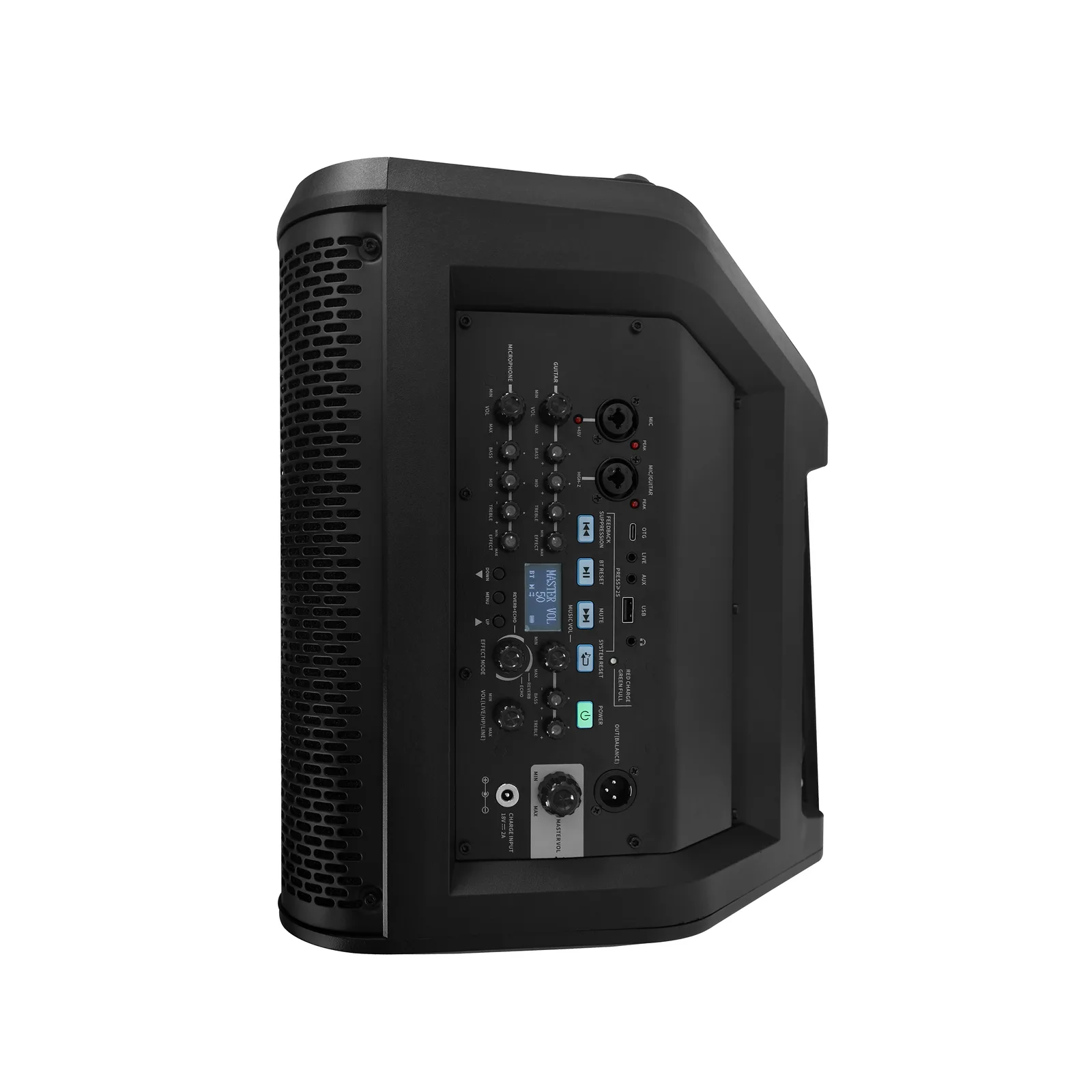 8-Inch Portable Speaker 8