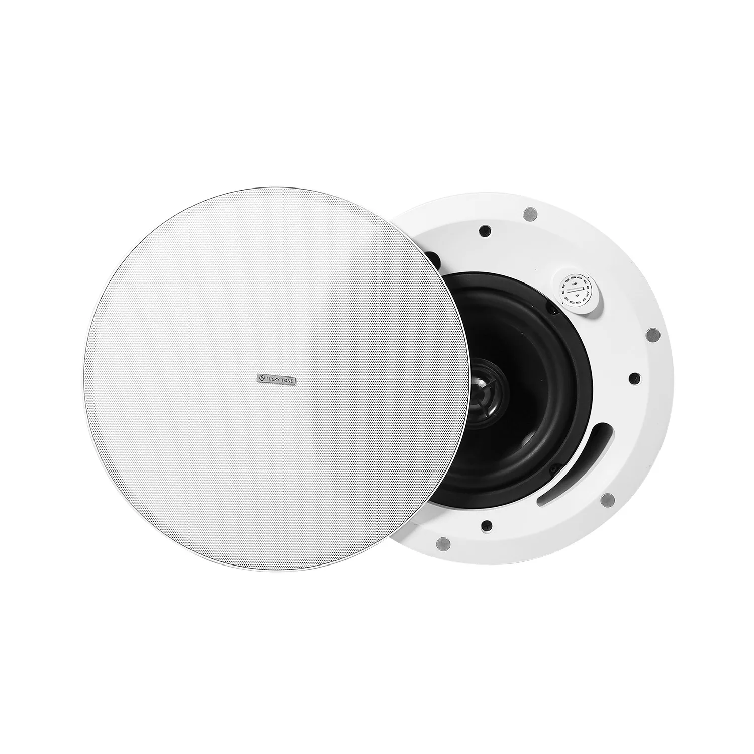 Ceiling Speaker with Firedome 5