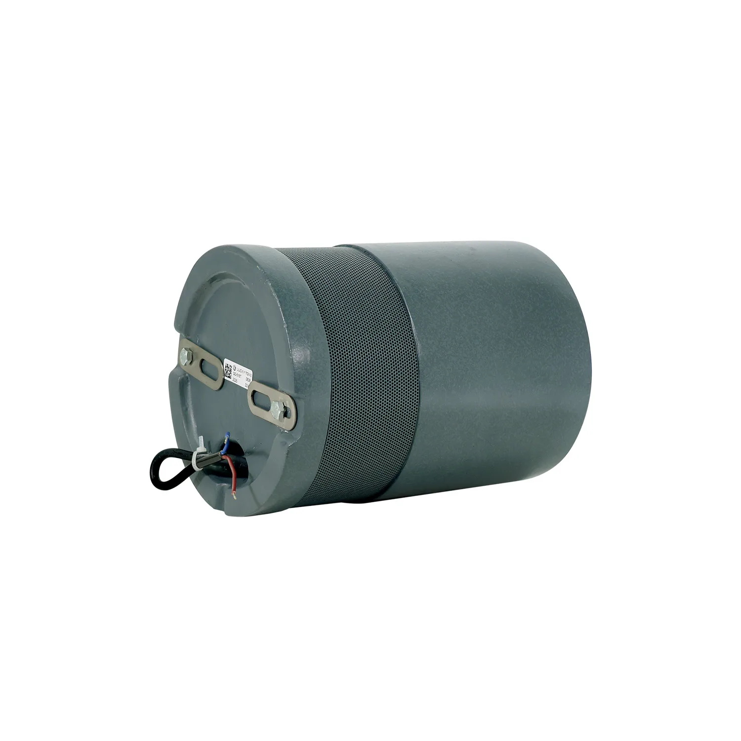 Ground Mounted Garden Speaker 6