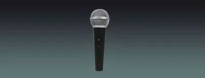 Handheld Microphone