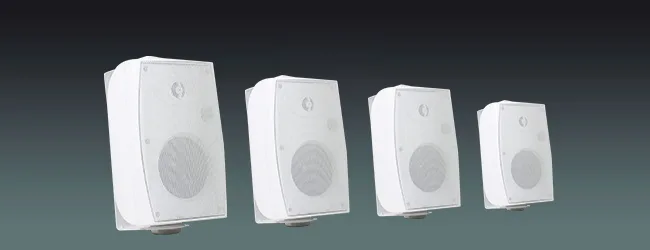 High Fidelity Wall-mounted Speakers