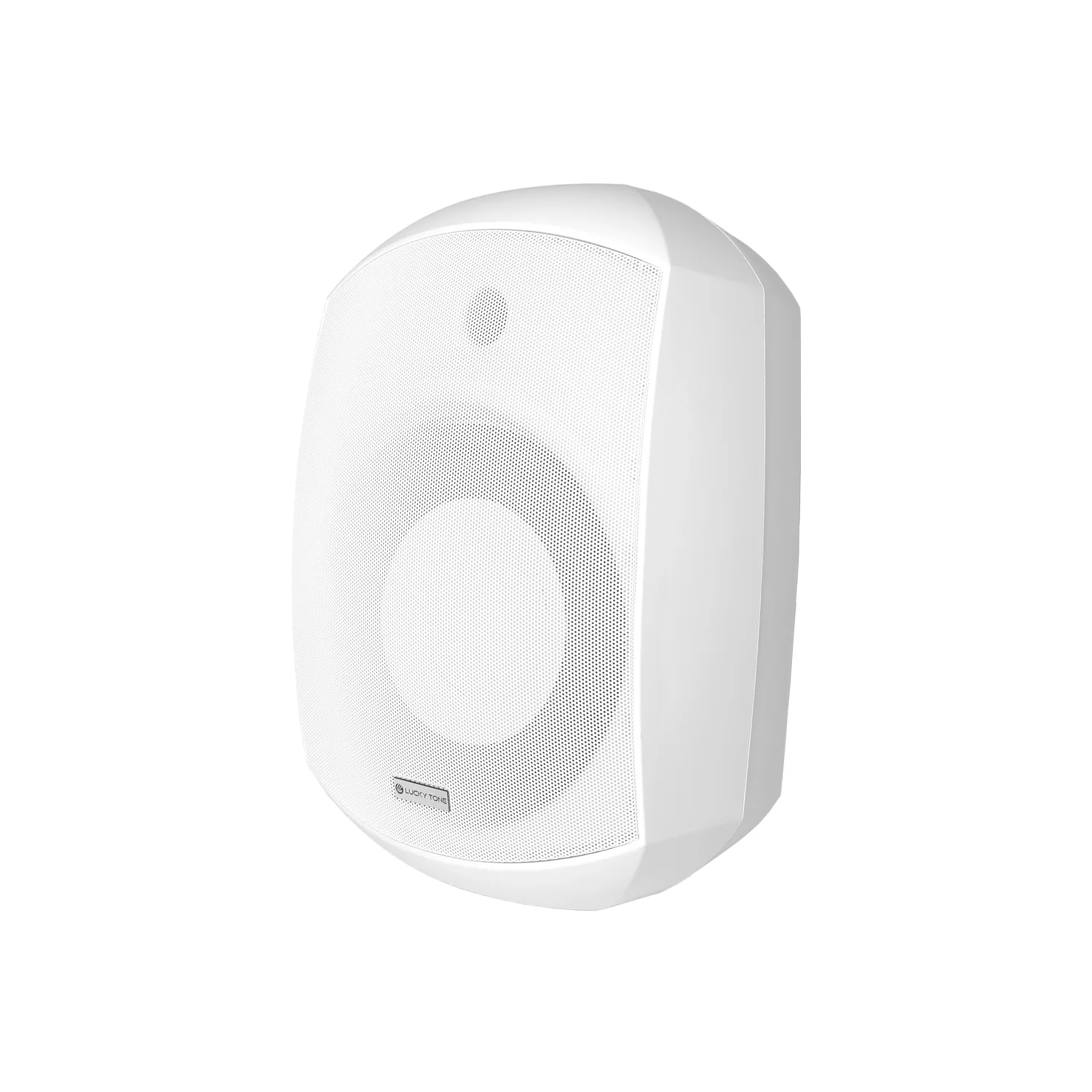 Indoor Wall Mount Subwoofer 5
