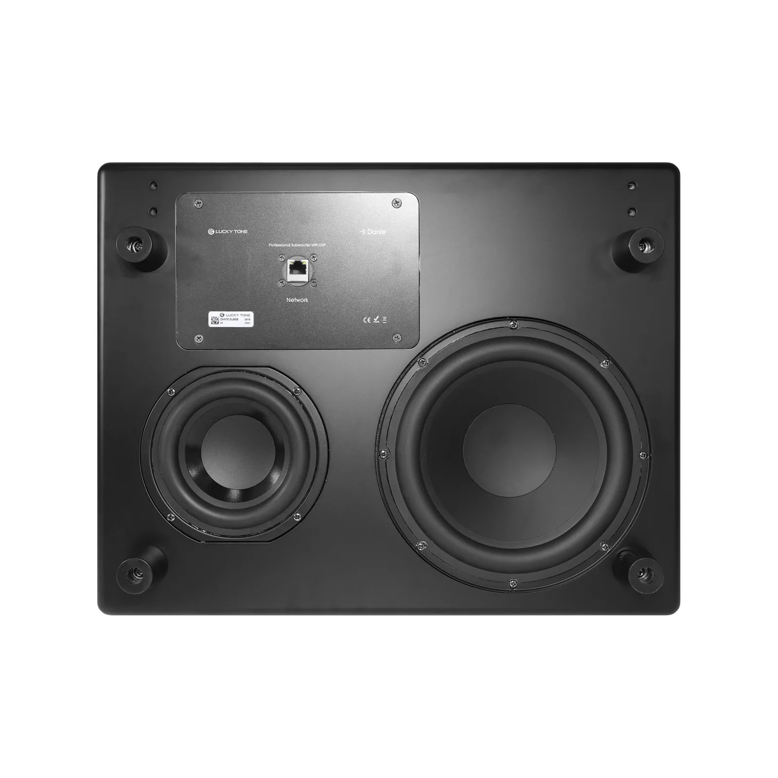 Network Subwoofer with DSP 8