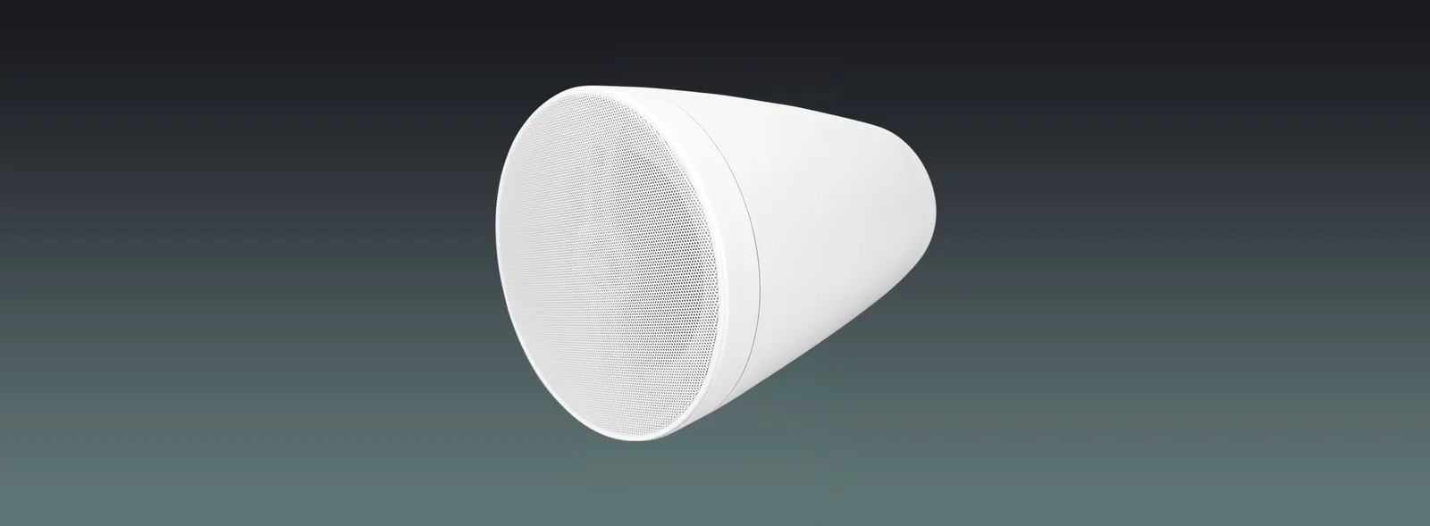 ONVIF Network Wall Speaker 9