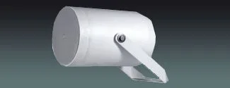 Outdoor Directional Speaker