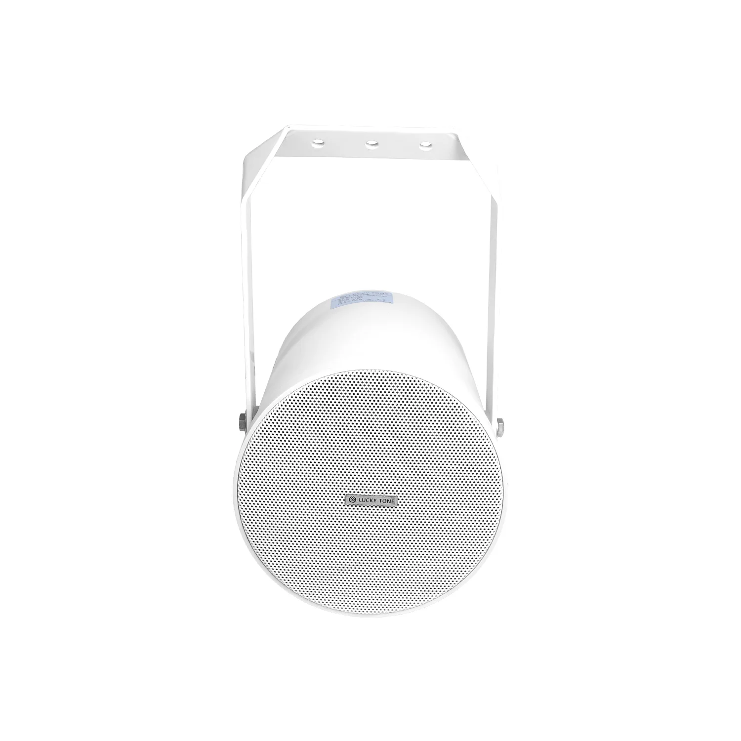 Outdoor Directional Speaker 7