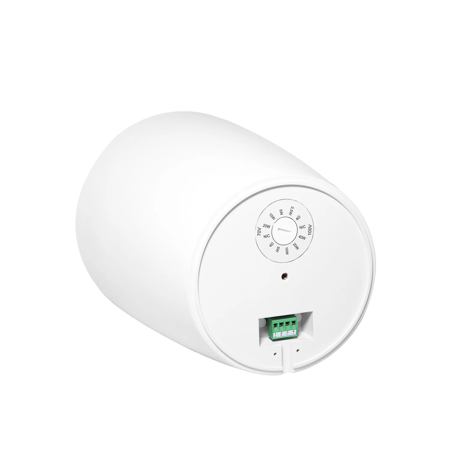 Pendant Subwoofer 2