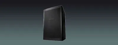 Professional Speaker