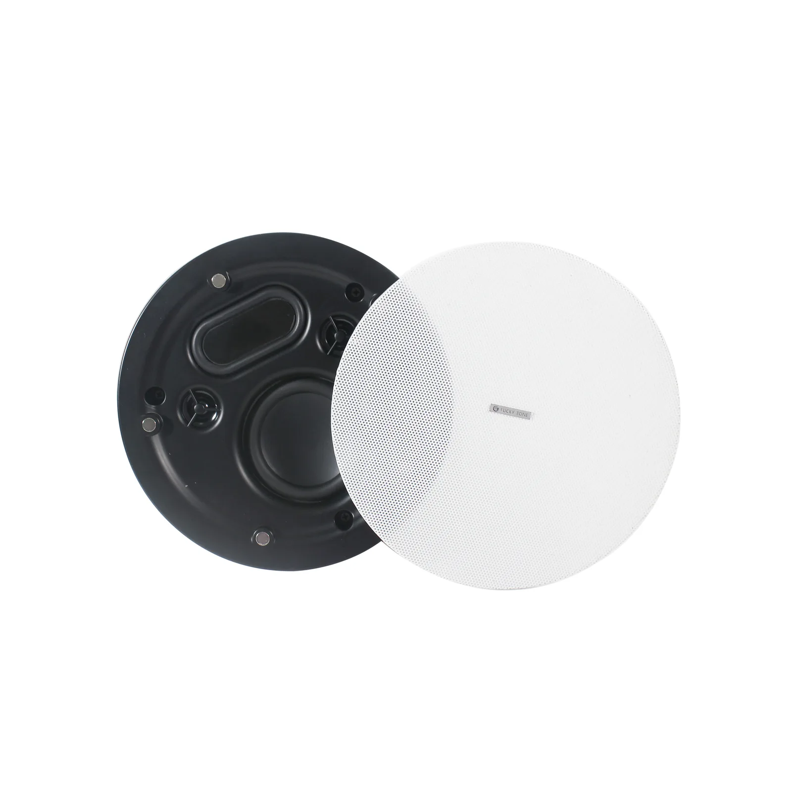 Ultra Thin Ceiling Speaker with Dual Tweeter & Passive Radiator 5