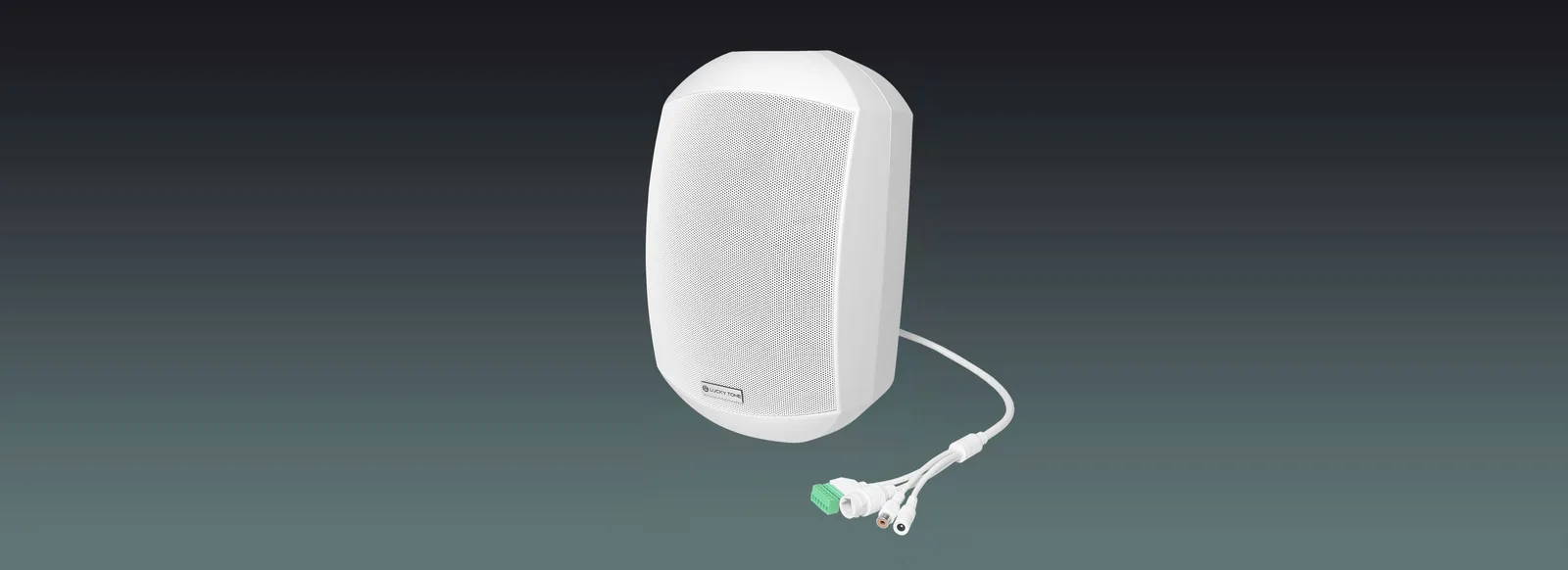 ONVIF Network Wall Speaker 2