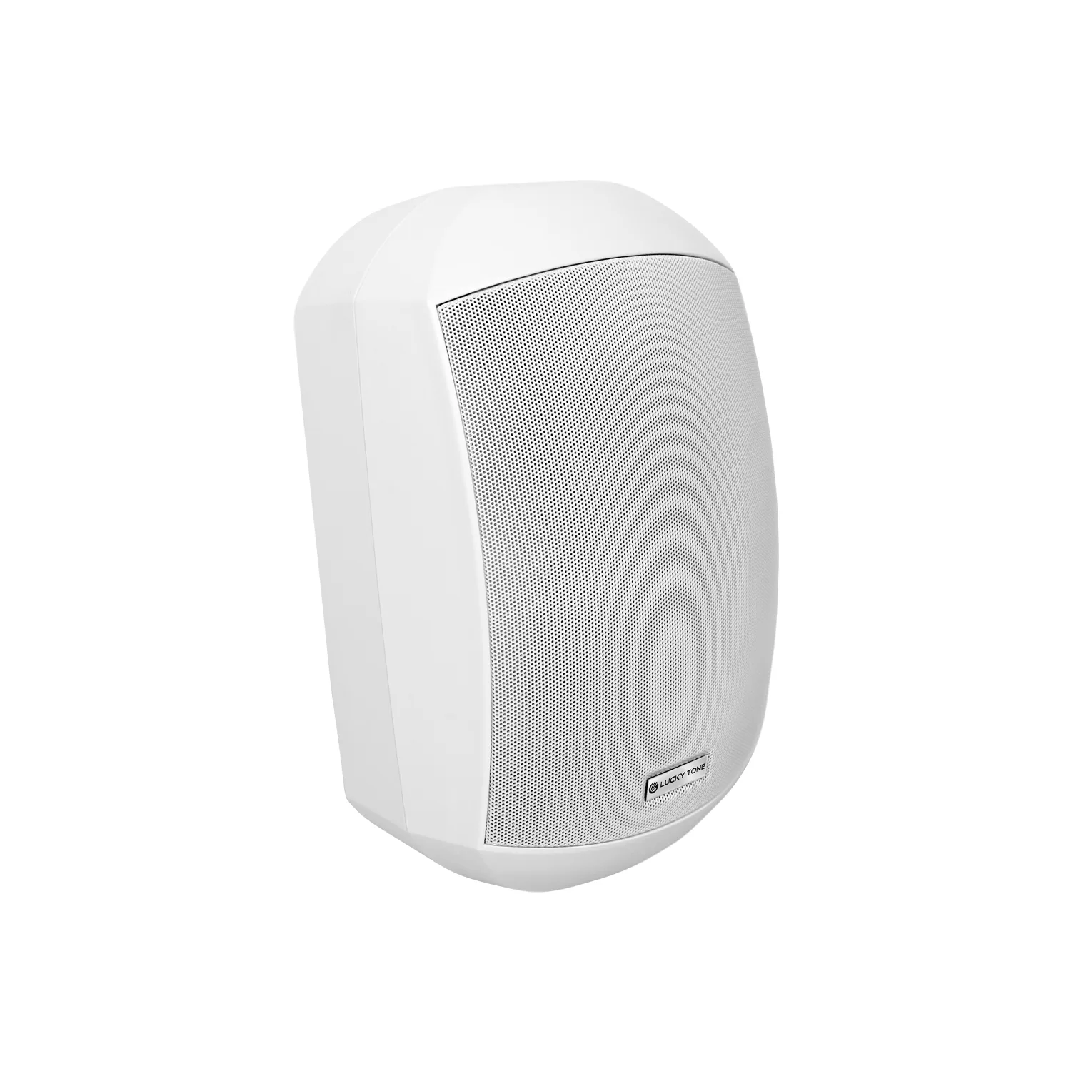 ONVIF Network Wall Speaker 6