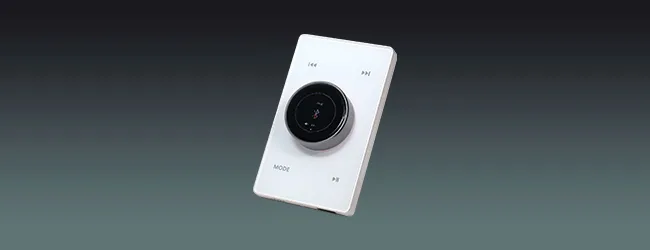 Volume Control with Amplifier & Color Screen