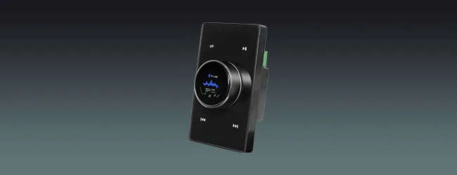 Volume Control with Amplifier & Color Screen