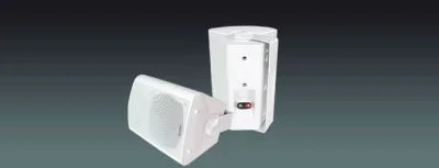 Wall Mount Speakers