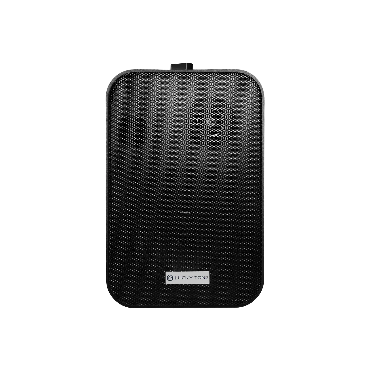 Wall Mounted Speaker 7