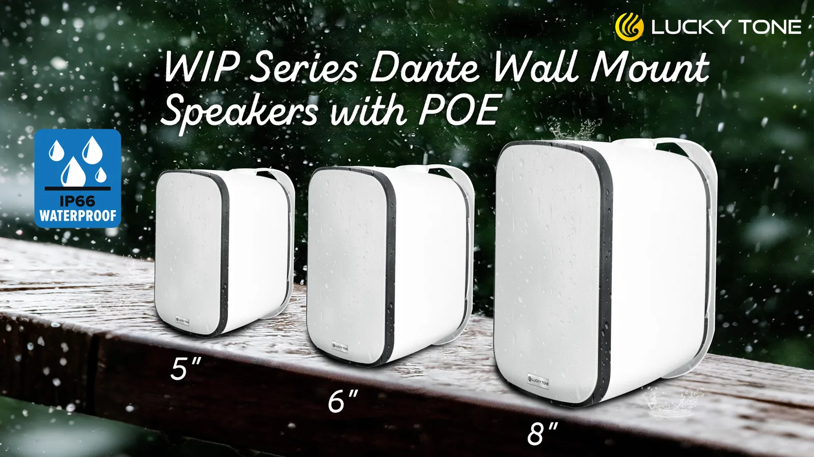 WIP Dante Wall Mounted Speaker with POE 7