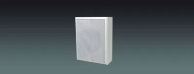 Wooden Wall Speaker